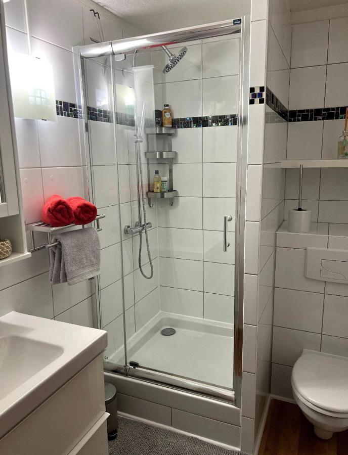 Appartement La Petite Venise Кольмар Экстерьер фото