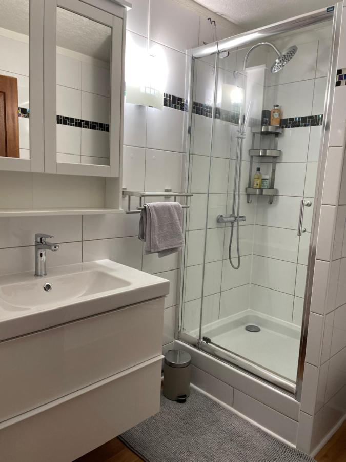 Appartement La Petite Venise Кольмар Экстерьер фото